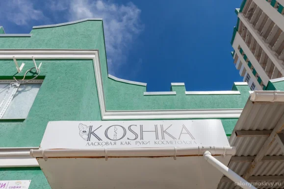 Студия косметологии Cosmo Koshka фото 1
